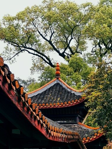 岳麓山风景